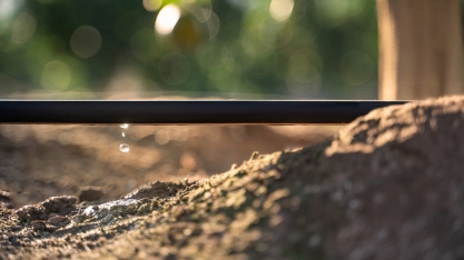 Inovação no setor: Modelo inédito da Netafim garante soluções de ponta a ponta