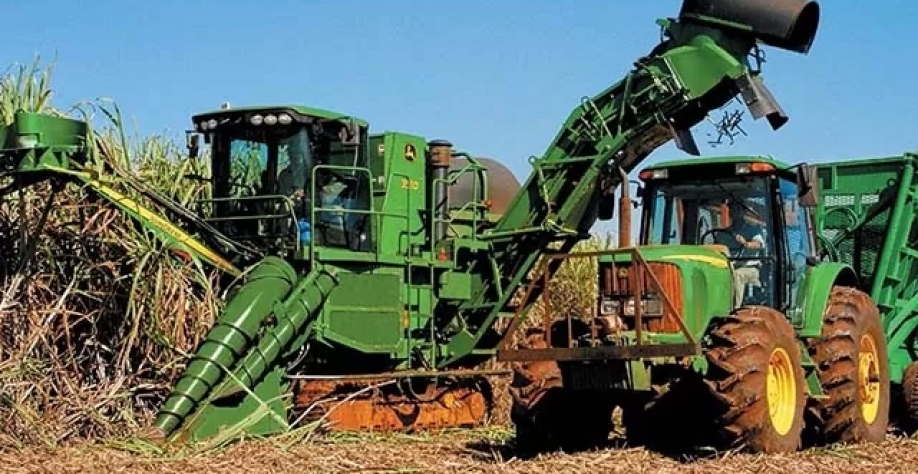 Rendimento médio da cana por hectare no Estado foi de 75,5 toneladas, uma retração de 8,6% frente à temporada anterior | Crédito: SEAPA/Divulgação