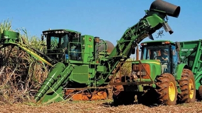 Safra mineira de cana-de-açúcar cai 9,4% com impactos do clima