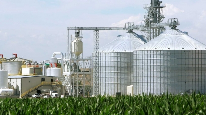 Etanol absorve 89% da cana-de-açúcar disponível às usinas