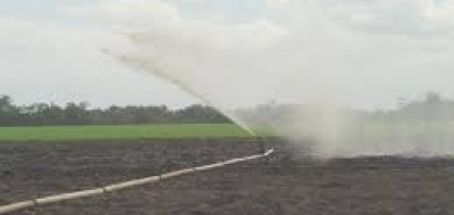 Vinhaça e cinzas viram fertilizante em canaviais