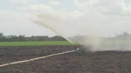 Vinhaça e cinzas viram fertilizante em canaviais