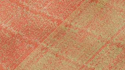 O solo tem memória, ficou um ano sem adubar o canavial, a menor produtividade se refletirá por anos