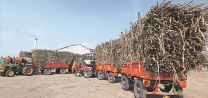 Vendas de açúcar da Índia devem bater recorde com pico de demanda no verão