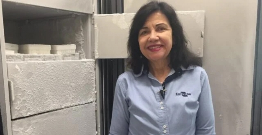 Mariangela Hungria no Laboratório de Biotecnologia do Solo na Embrapa Soja. Foto: Divulgação