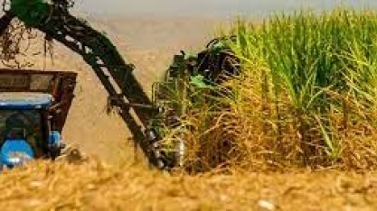 Argentina eleva preços domésticos de biocombustíveis diante de inflação forte