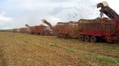 Governo pode destruir cadeia produtiva dos biocombustíveis no Brasil, alerta Arnaldo Jardim