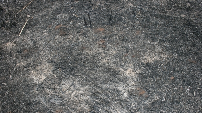 Entidades se reúnem para nova campanha de conscientização, prevenção e combate aos incêndios