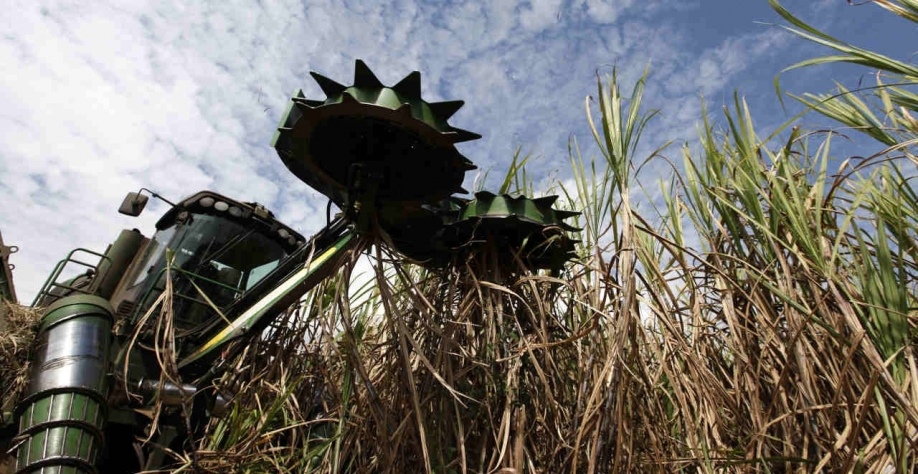 A Green Pool também prevê um superávit global de açúcar de 2,285 milhões de toneladas, valor bruto, em 2021/22. Em janeiro, havia previsto um déficit de 2,031 milhões de toneladas (Imagem: REUTERS/Nacho Doce)