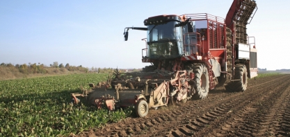 Açúcar/UE: Adido do USDA estima queda na produção em 2022/23 em razão da menor área plantada de beterraba