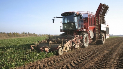 Açúcar/UE: Adido do USDA estima queda na produção em 2022/23 em razão da menor área plantada de beterraba