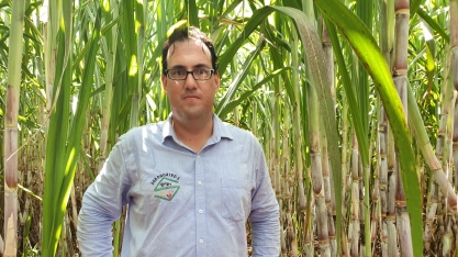 Sérgio Castro, da AgroQuatro-S, será debatedor na live: Soluções para a cana-de-açúcar sofrer menos com a crise dos fertilizantes