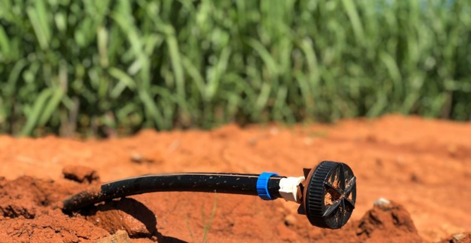 “Netafim Services” permite ao agricultor escolher uma solução de irrigação e fertirrigação sob medida com exatamente o nível de suporte que necessita.  Foto: Divulgação Netafim