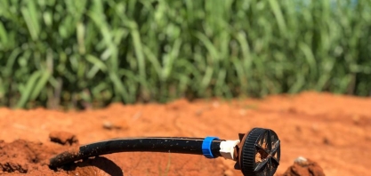 “Netafim Services” leva o conhecimento da Netafim para dentro da sua fazenda