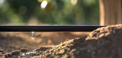 Crescimento e tecnologia: lado a lado no agronegócio brasileiro