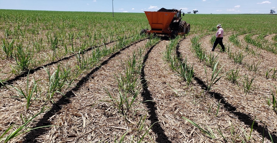 A torta de filtro é um dos co-produtos da cana que nutrem o canavial