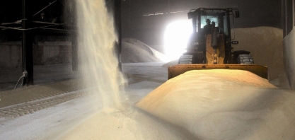 Preço do açúcar na bolsa de Nova Iorque ultrapassa os 20 centavos de dólar por libra-peso