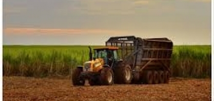Raízen reduzirá uso de fertilizantes em 20% nesta safra com aplicação de resíduo orgânico
