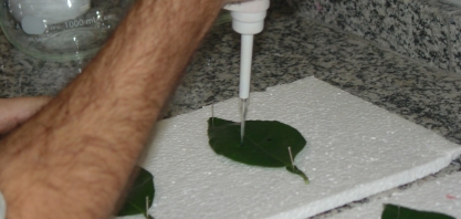 Laboratório de ponta, túnel de vento e selo para certificação impulsionam programa Adjuvantes da Pulverização