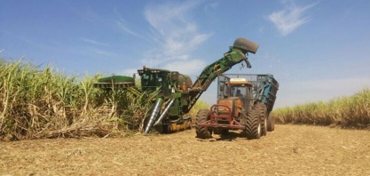 Em alta de 7%, AL tem maior safra de cana dos últimos sete anos