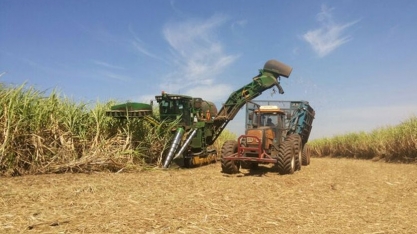 Em alta de 7%, AL tem maior safra de cana dos últimos sete anos