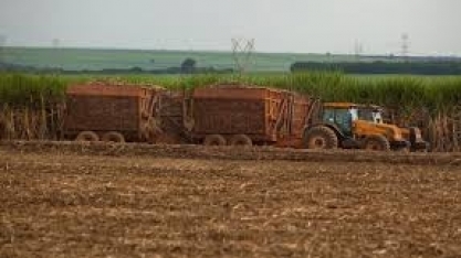 Produção de cana na safra 2021/22 atinge 585,2 mi de t, diz Conab