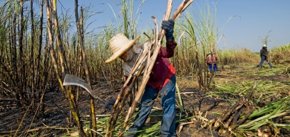 Tailândia prevê aumento de 33% da produção de açúcar em 2022, para 10 mi de t