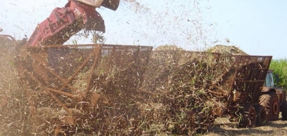 Cazaquistão planeja reduzir importações de açúcar em 32%