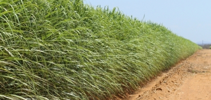 Maior tecnologia de irrigação do mundo está na Agrishow 2022