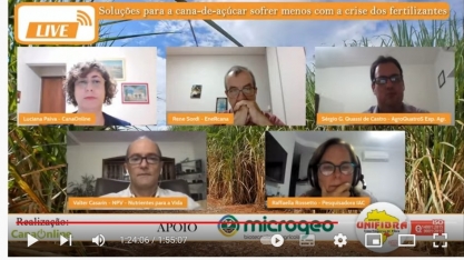 Confira quais as soluções que especialistas apontaram para que a cana sofra menos com a crise de fertilizantes