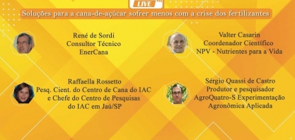 Live 