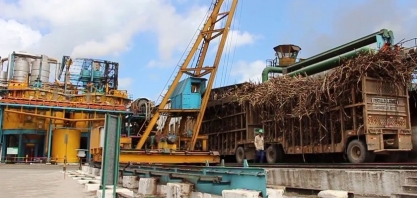 Alagoas: safra 21/22 ultrapassa 18 milhões de toneladas de cana
