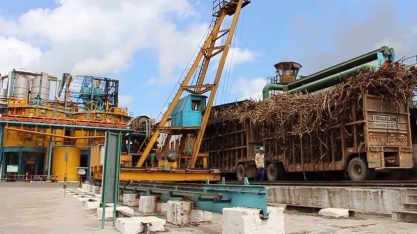 Alagoas: safra 21/22 ultrapassa 18 milhões de toneladas de cana
