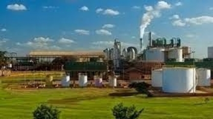 Lone Star volta a buscar aval para fazer empréstimo à Atvos