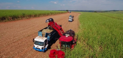 Brasil vira exemplo ecológico na colheita de cana