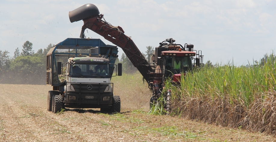 Mesmo no pior cenário, safra atual deve ser melhor do que a anterior, cuja moagem final no Centro-Sul foi de 523,11 milhões. Foto: Leonardo Ruiz