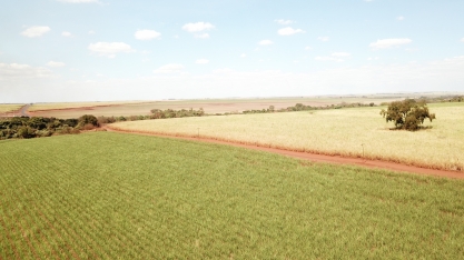 Netafim apresentará na Agrishow 2022 proposta de valor para a cadeia sucroenergética