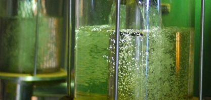 Crise energética na Europa pode impulsionar etanol