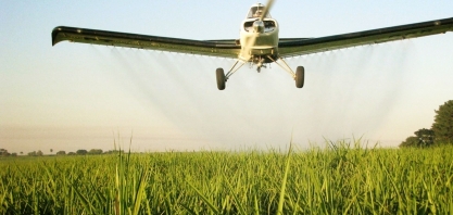 Quando aplicar os maturadores nos canaviais