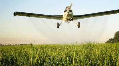 Quando aplicar os maturadores nos canaviais