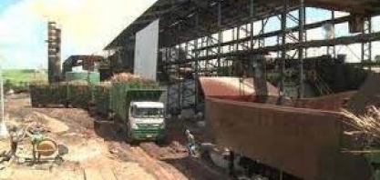 Safra da cana-de-açucar chega ao fim em Alagoas