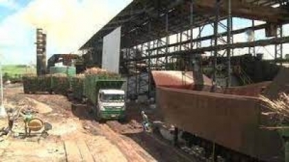 Safra da cana-de-açucar chega ao fim em Alagoas