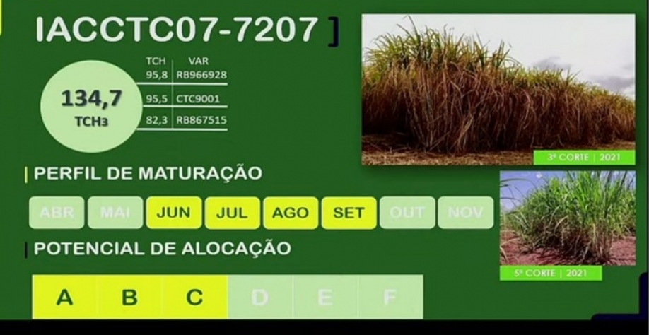 Características da IACCTC07-7207