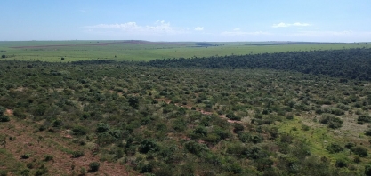 Atvos planta cerca de 280 mil mudas no maior corredor ecológico da Mata Atlântica