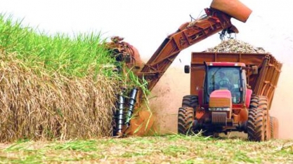 Sindaçúcar-AL: safra de 21/22 é encerrada com aumento de produção