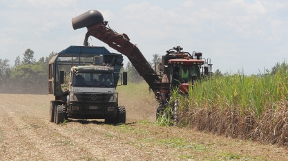 O sofrível desempenho da moagem de cana no Centro-Sul nesse início de safra induz a uma correção das estimativas de produção