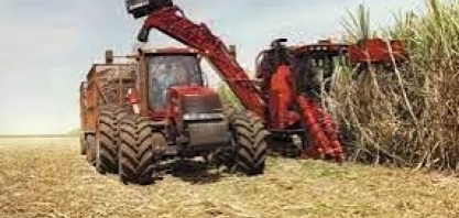 Início da colheita de cana derruba preço do etanol nas usinas