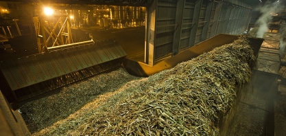 Início ruim da moagem de cana no centro-sul traz mais dúvidas