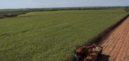 Safra avança e moagem alcança 23 milhões de toneladas