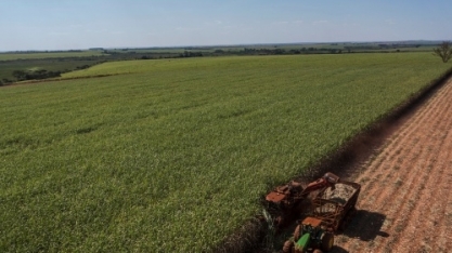 Safra avança e moagem alcança 23 milhões de toneladas